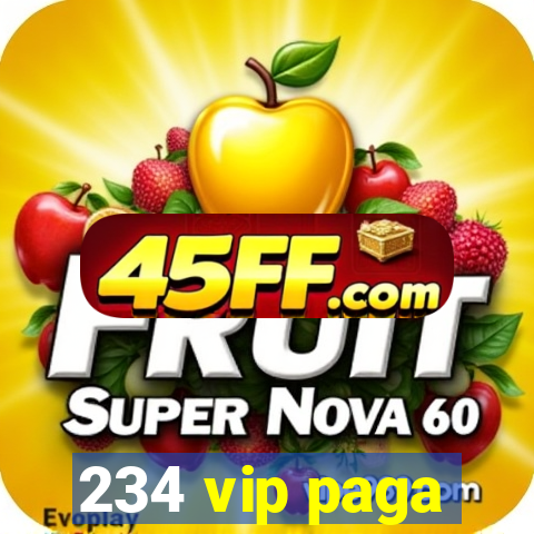 234 vip paga